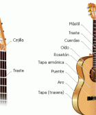 partes de la guitarra